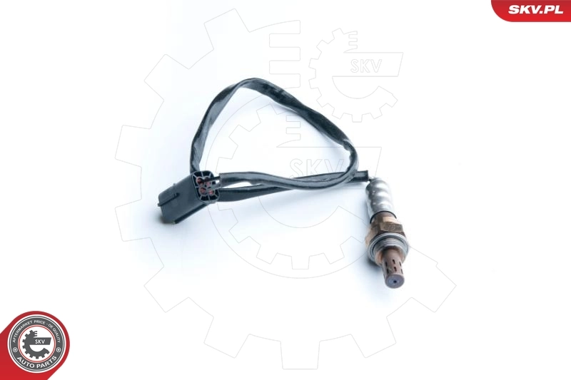 Oxygen Sensor